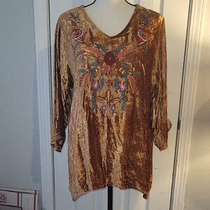 Tru-Luxe Embroidered Velvet Tunic Top.
